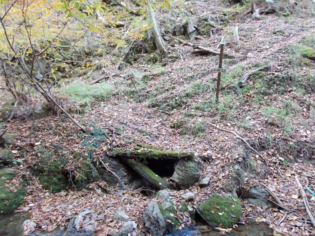 11:12 ここで沢を渡ります。案内板が小さいので見落とさないように。