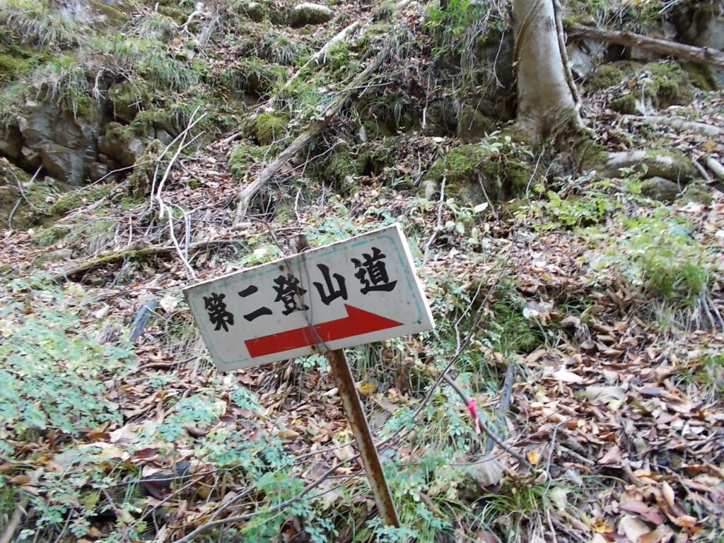 11:13 第二登山道の案内板。ここから沢を離れて一般コースの林道を目指します。