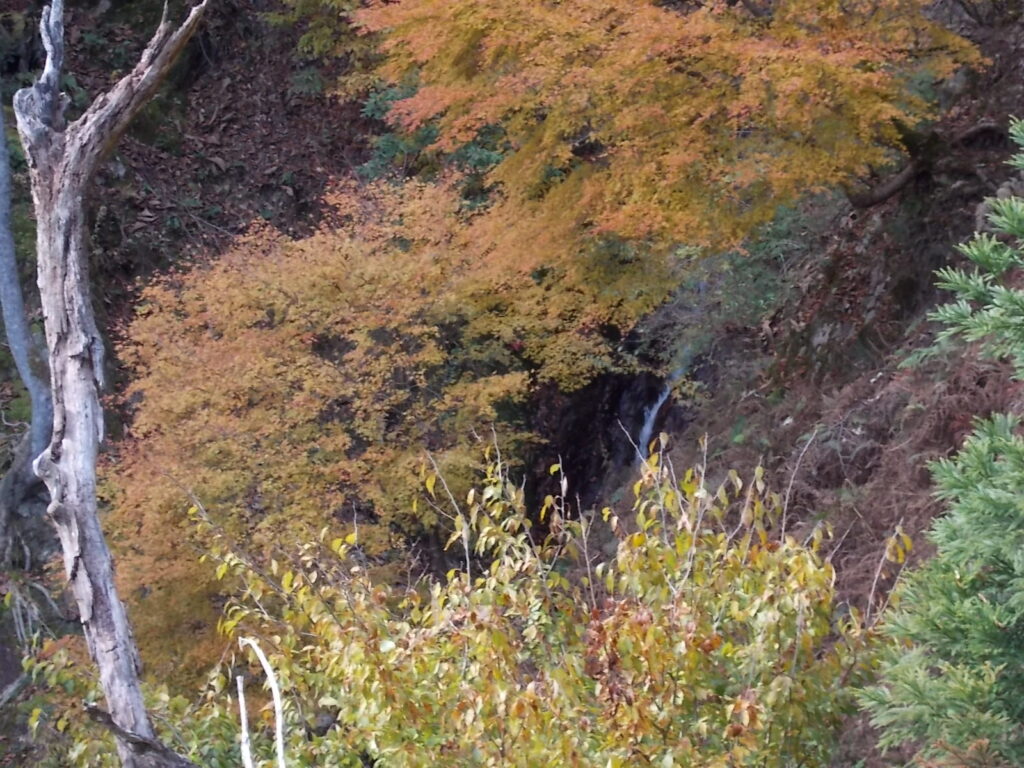 11:14 このあたりの紅葉もそろそろ終わりのようです。