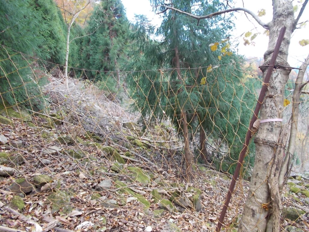 11:22 獣避けのネットを通ります。