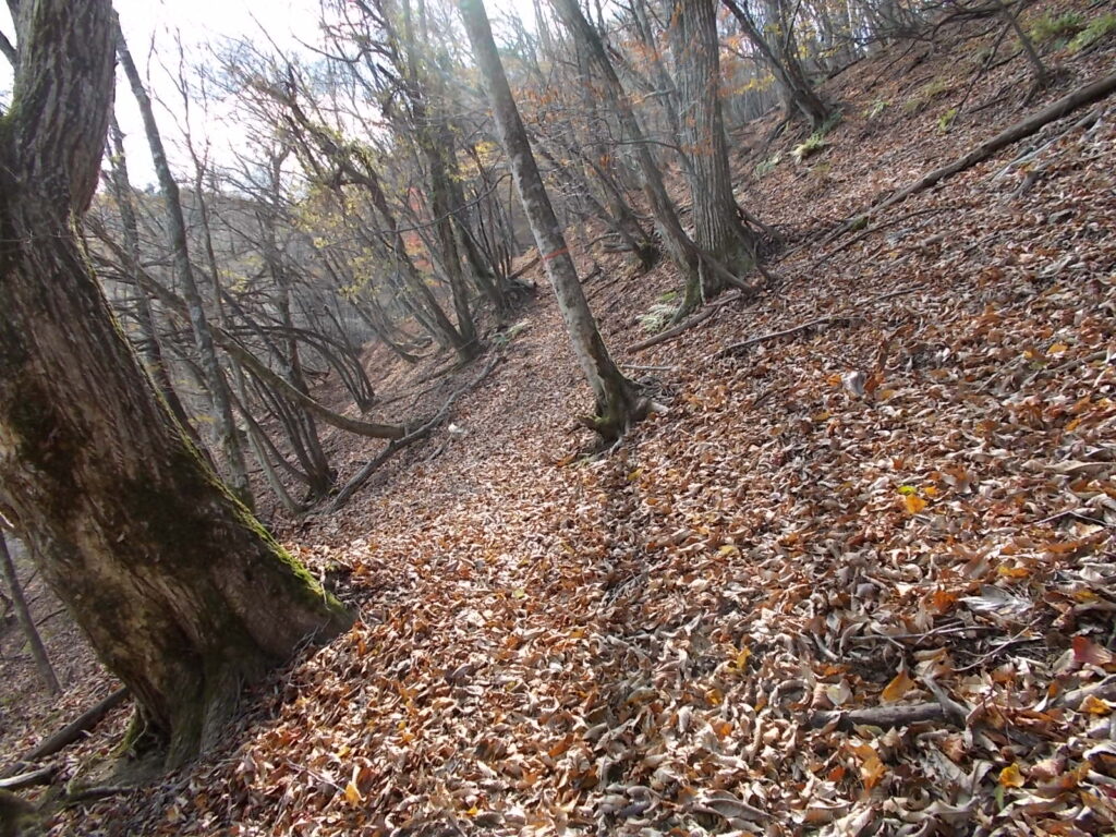 11:41 またまた急斜面を登ります。