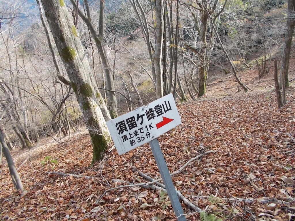 11:42 斜面にある案内板。 あと1Kmです。