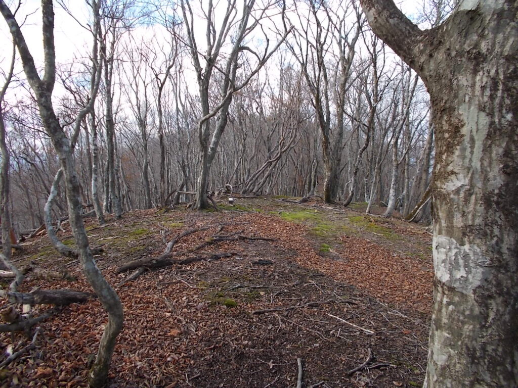 12:19
急斜面を登ったピーク。向こうのピークが須留ヶ峰です。