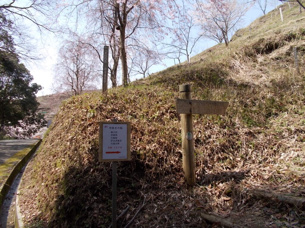 11：23　ここから桜華園が始まります。桜華園の内容は別に書いているのでここでは省略します。これからは舗装路に沿って進みます。