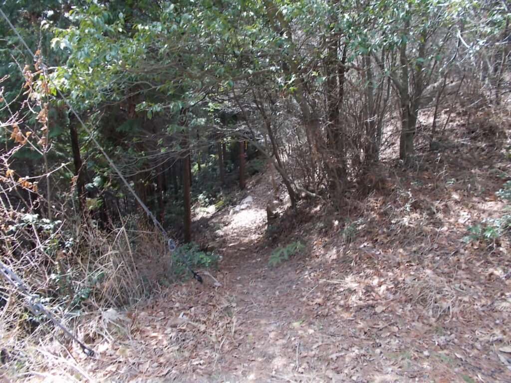 12：03　少し行くと登山道らしくなりました。