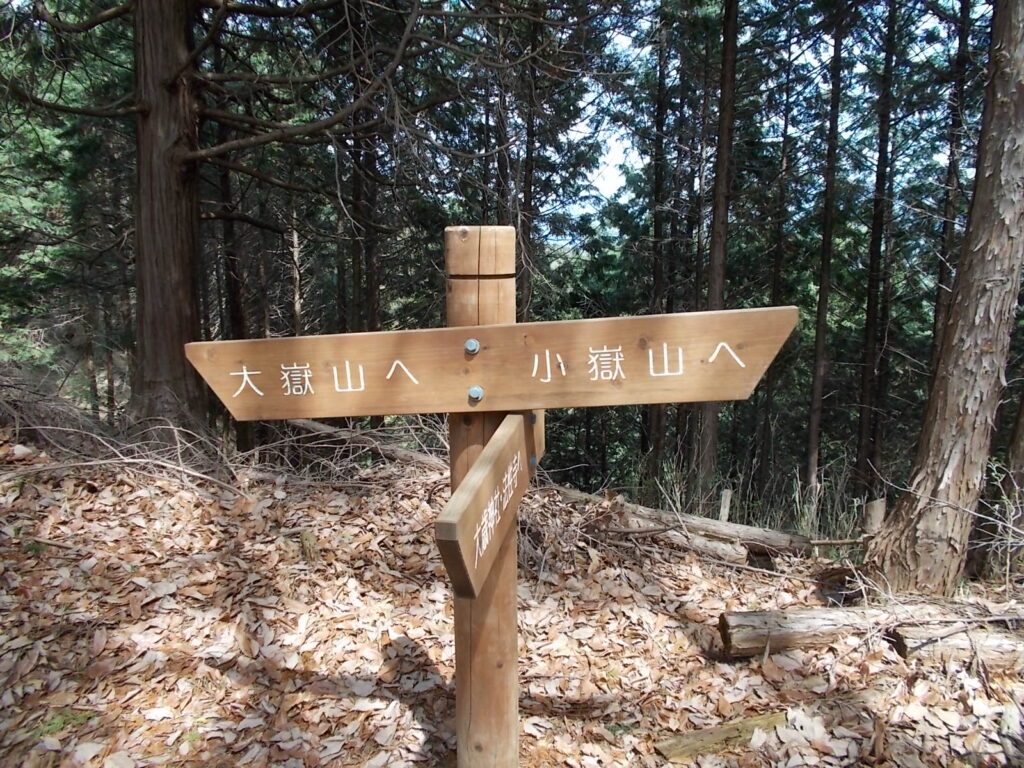 12：15　登りのあたりの分岐を左に進むと案内板があります。が、こんなところにあっても仕方ないような。