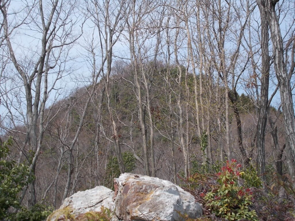 12：16　急な下りと急な登りを頑張るとすぐに小嶽山山頂に着きます。小嶽山から見た大嶽山です。