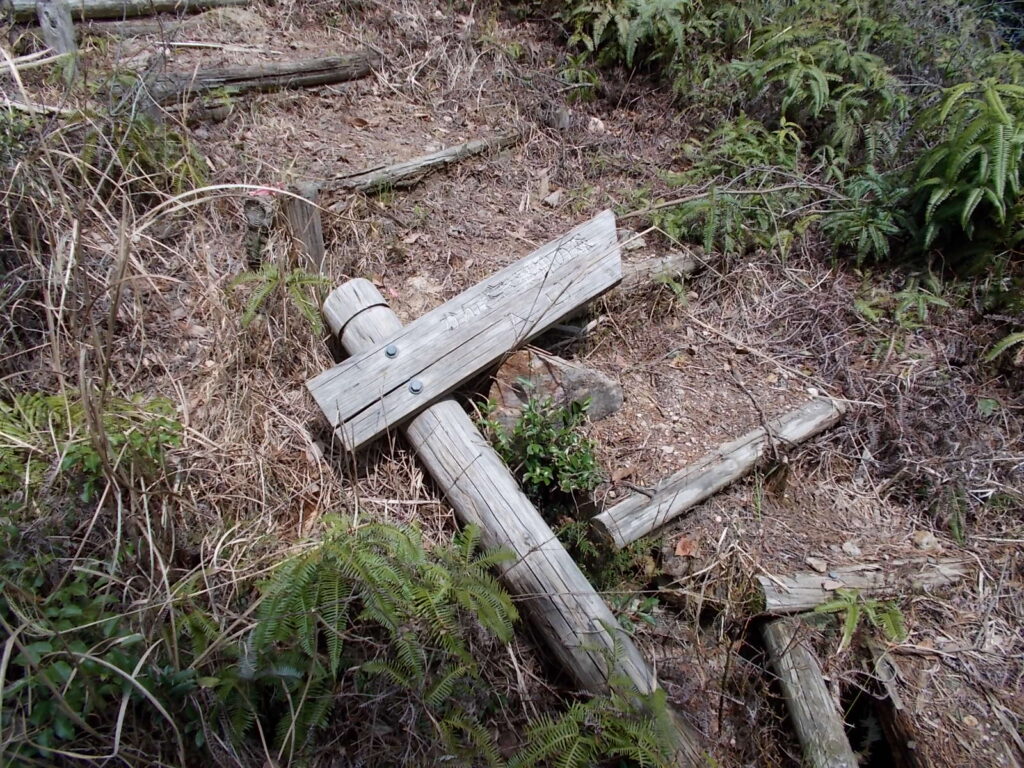 12：45　分岐まで戻り、来た道を引き返し、途中にあった薬神の森への分岐から薬神の森にはいります。