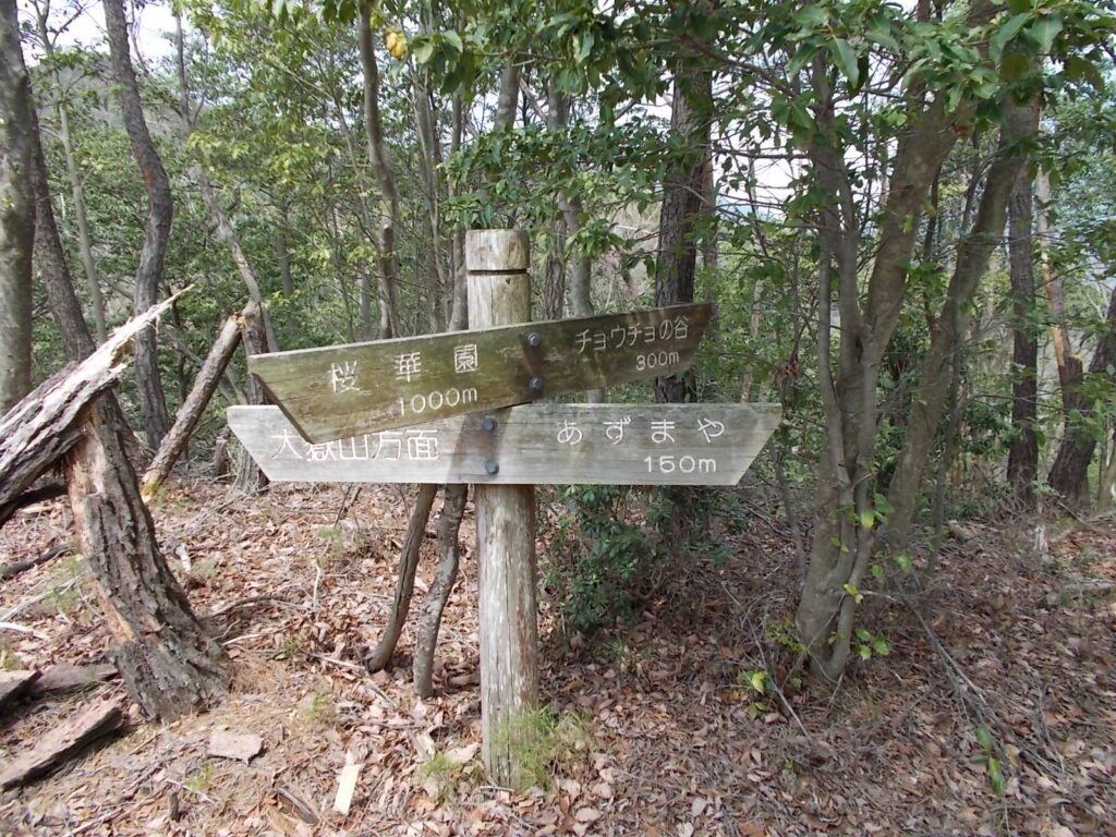 12：50　いろいろな方面への分岐。あずまやを目指します。