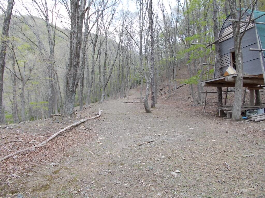 10：24　広い登山道。右のは作りかけor壊れかけの小屋？