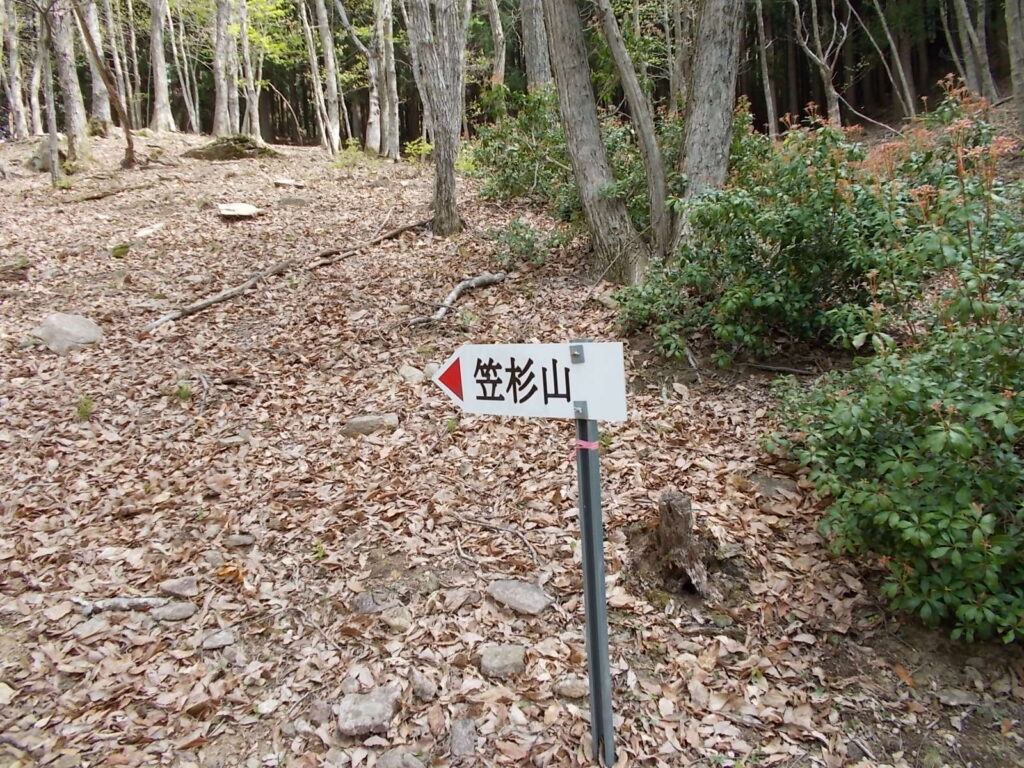 10：27　笠杉山への案内板。ここは間違えることはないでしょう。