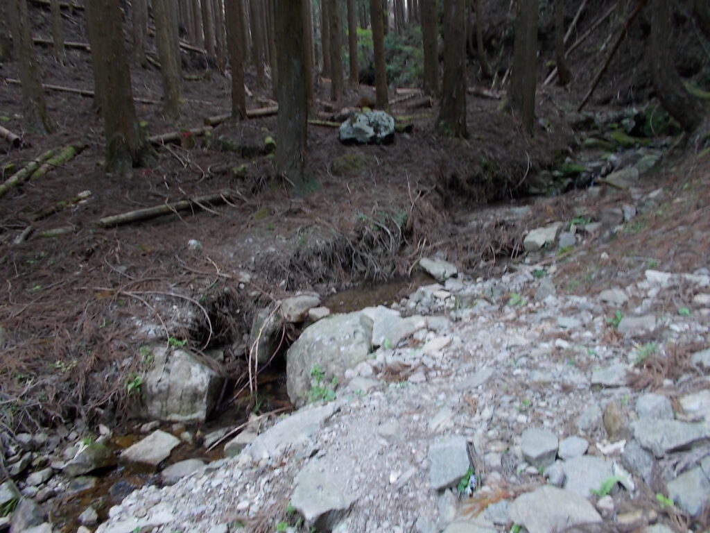 10：31　小さな川を渡ります。