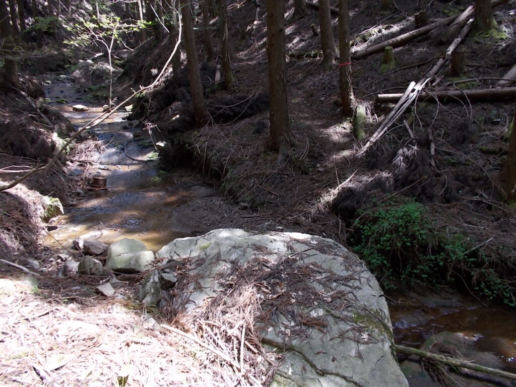 10：32　もう一度渡ります。もとの側に戻ったということです。渡らずに行く道もあるようですが、かなり急です。