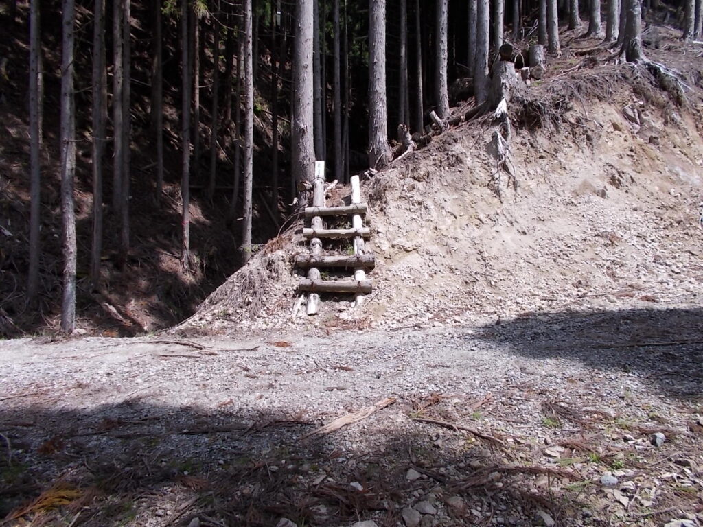 10：34　登ると林道に出ます。登山道は渡った向かい側のはしごからです。