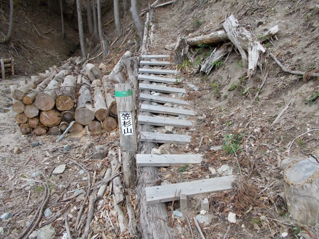10：37　林道を左へ行くとすぐに階段状の登山道があります。