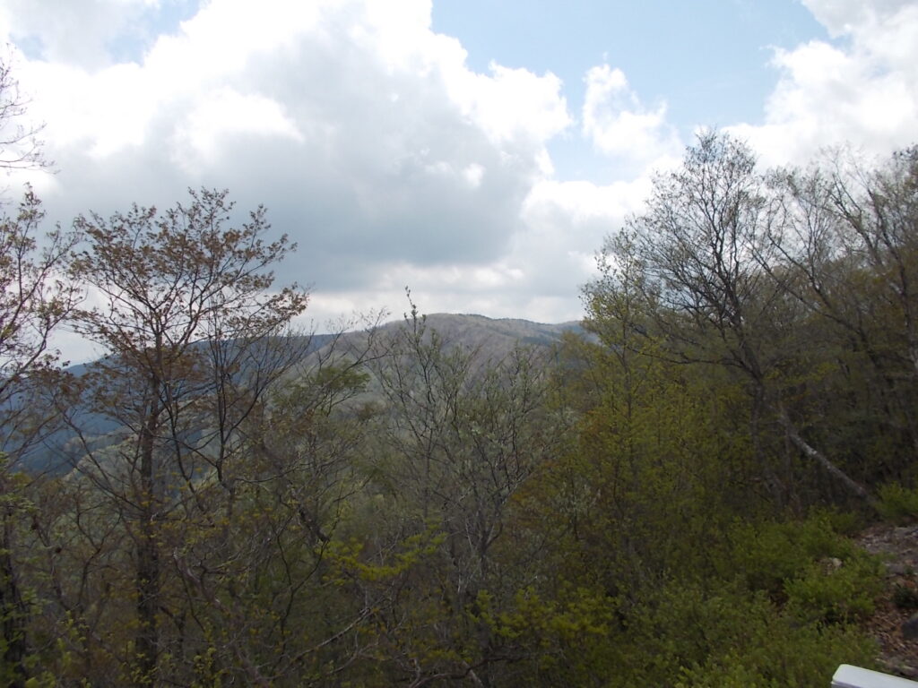 10：54　杉山手前のピーク。次の目標です。