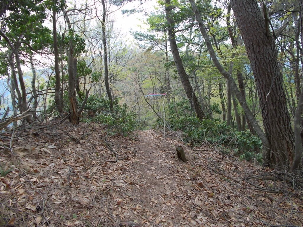 10：59　歩きやすい空中回廊。