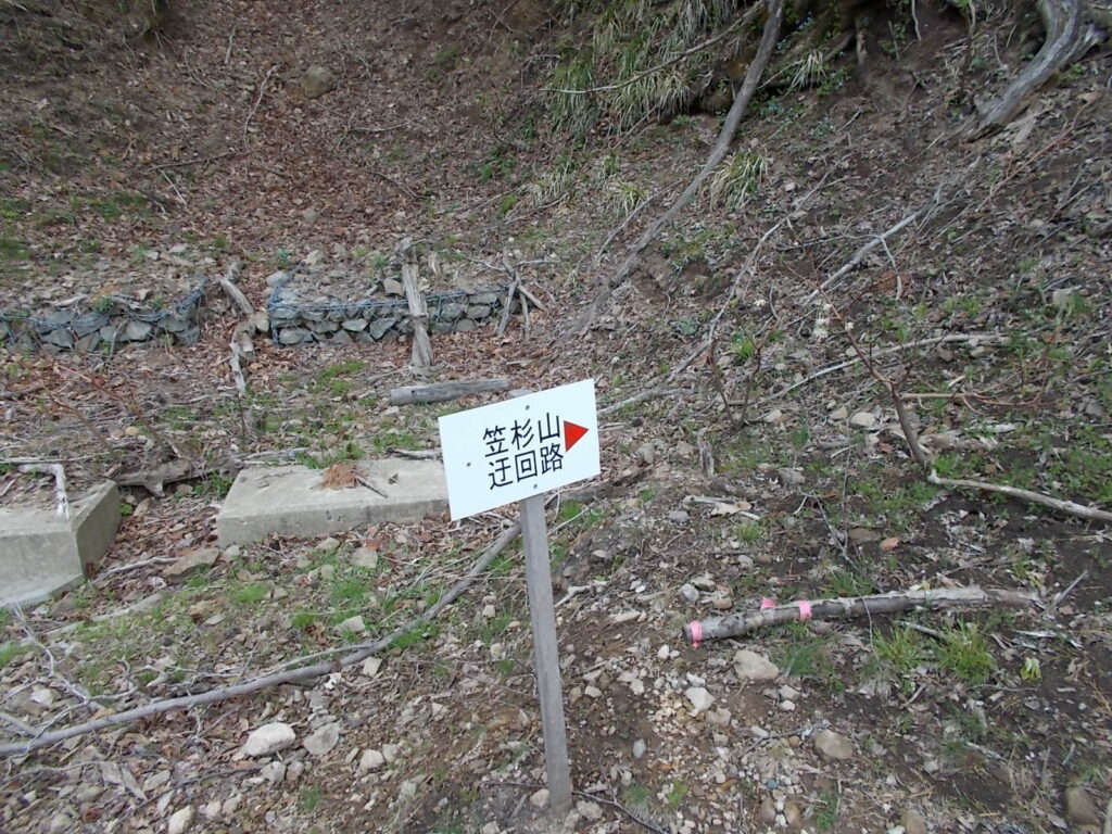 11：06　ここで登山道が切れています。いったん林道におります。