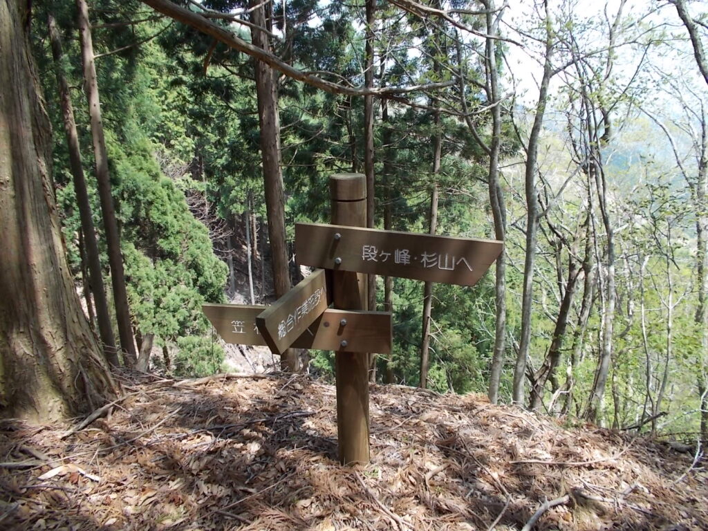 11：10　杉山への案内板。ここは直進。
