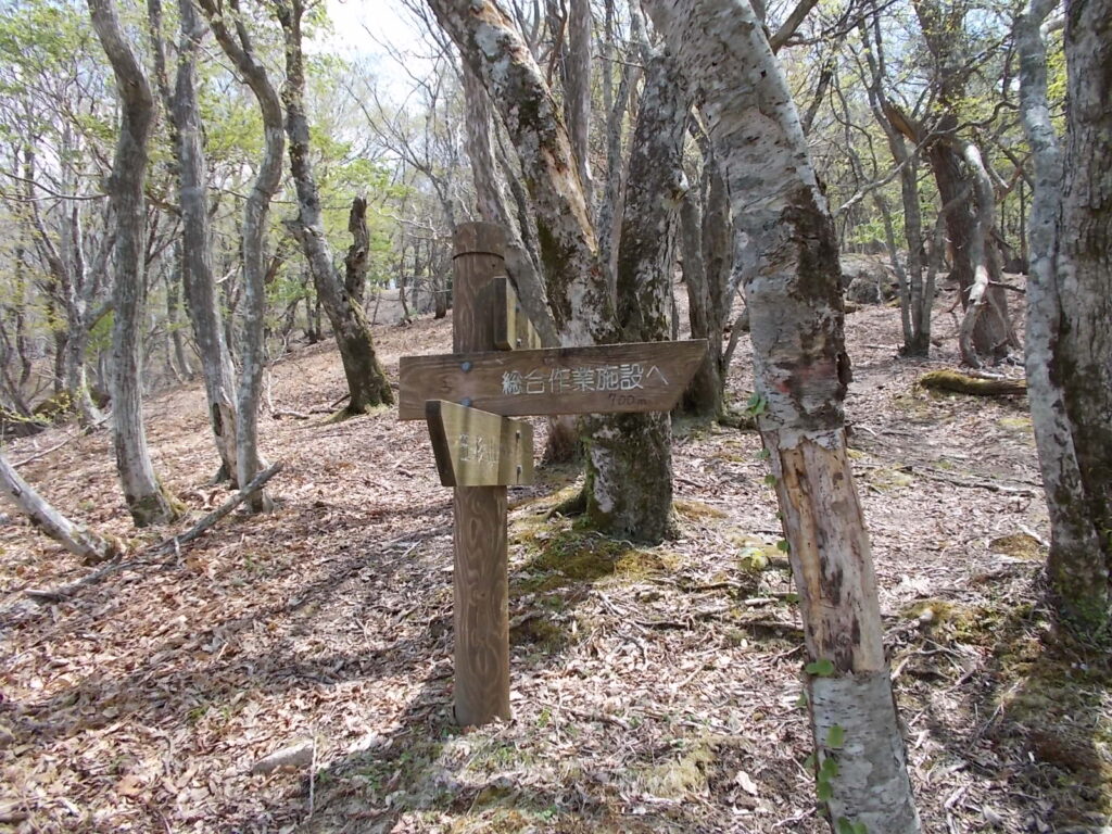 11：24　千町小屋への分岐です。帰りはここから下ります。小屋への700ｍは何かの間違いでしょう。