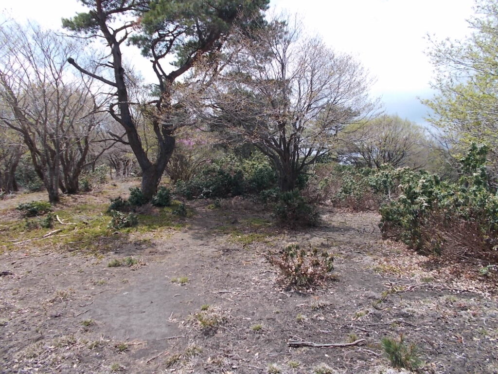 11：28　たいらなのんびりした場所です。周りはあまり見えません。