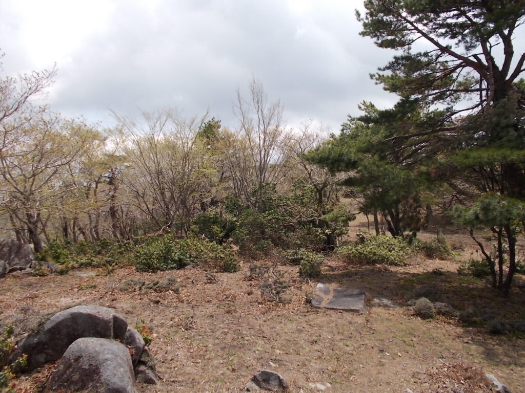 11：31　非常に歩きやすい、広々とした稜線です。風さえなければのんびりするのに最高です。