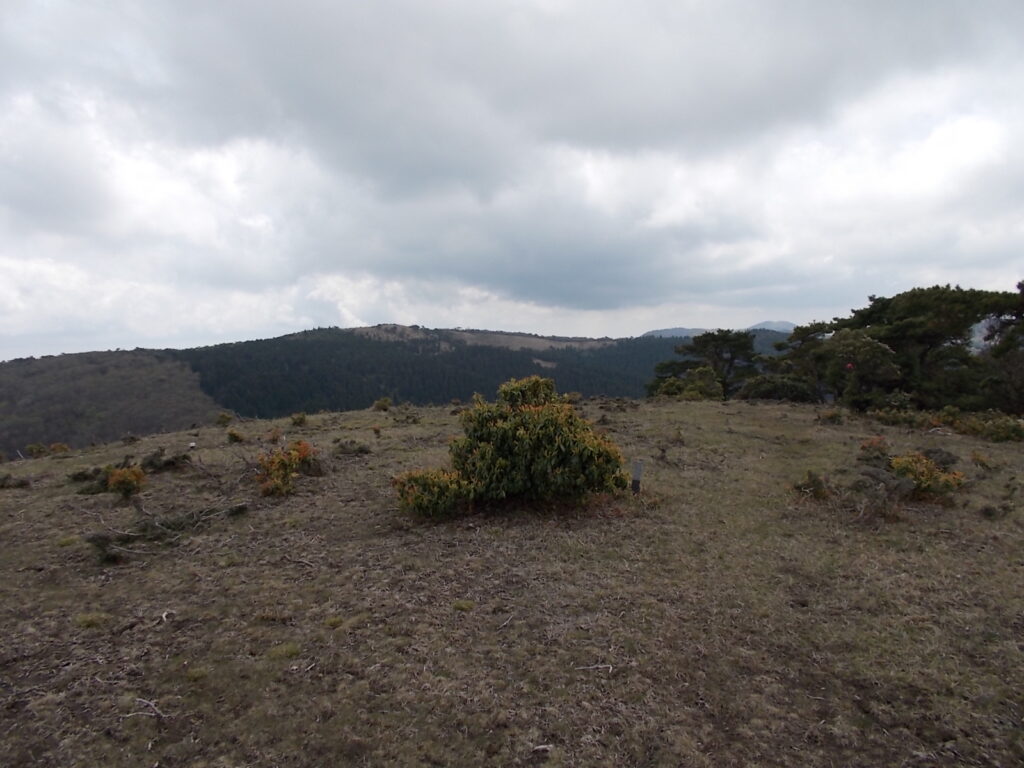 11：35　山上庭園を抜けた見晴らしの良いピーク。向かいは段ヶ峰です。