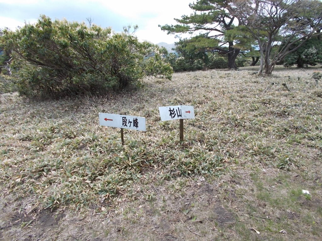 11：40　段ヶ峰への分岐。杉山へ行きます。