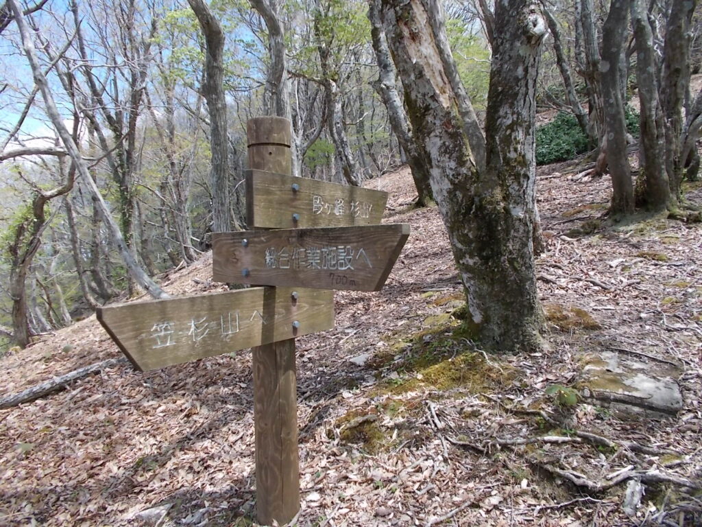 12：13　千町小屋分岐。ここから、岩塊流とくじら岩を見に行きます。