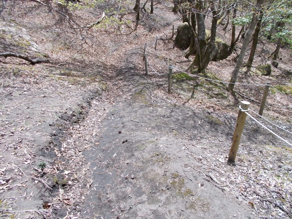 12：14　どちらへいってもたぶん同じですが、今回は手前の分岐を右へ。