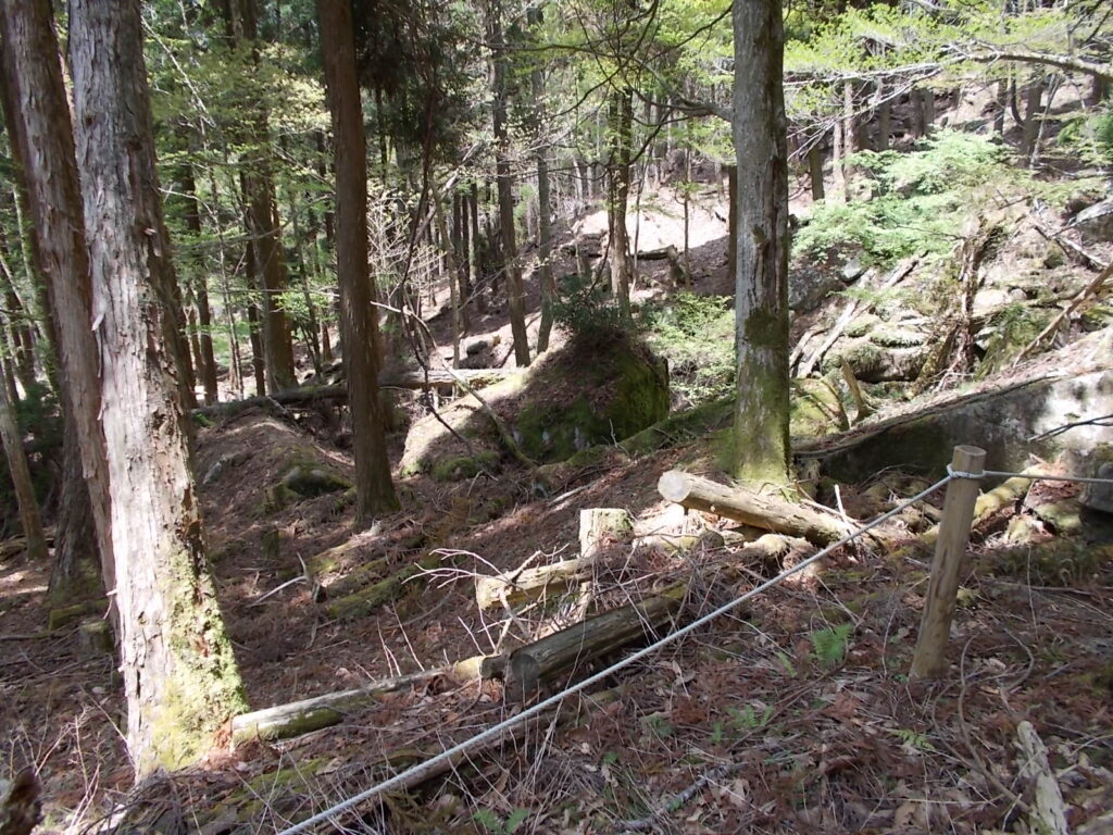 12：21　しばらく行くと、コケがついた岩がだんだんと現れてきました。