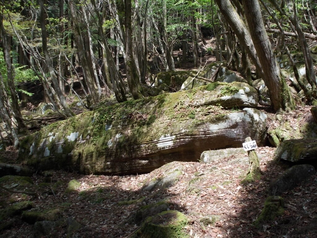 12：25　ようやくくじら岩につきました。