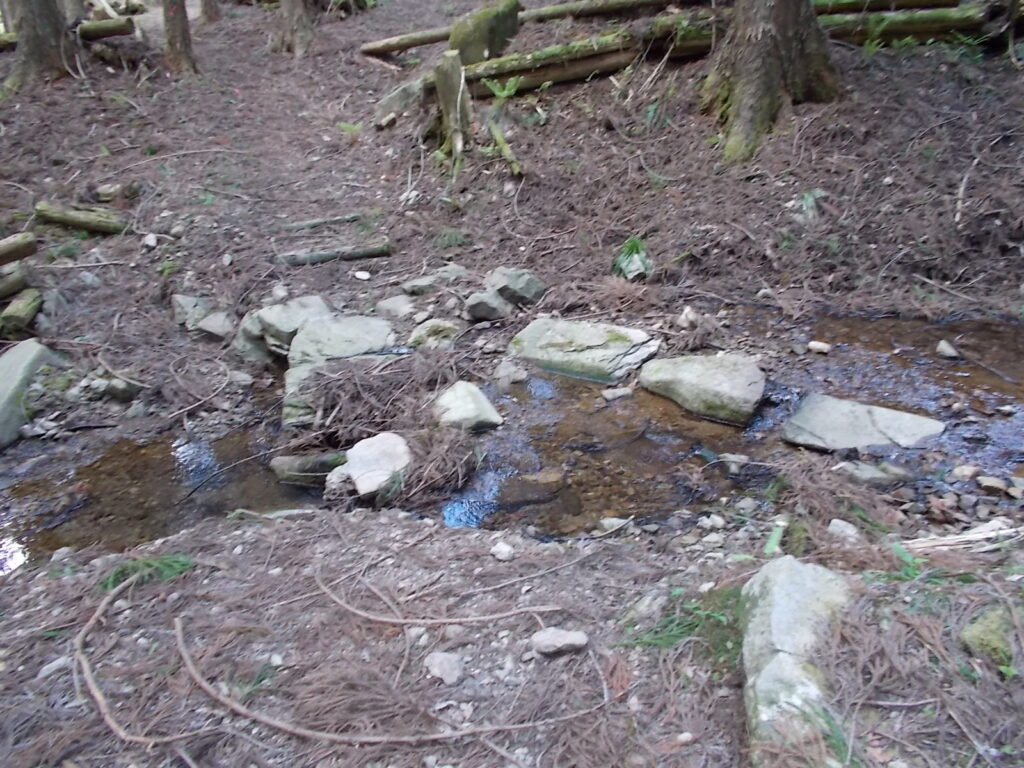12：40　どうどう橋をくぐって林の中を進みます。小川を渡ります。