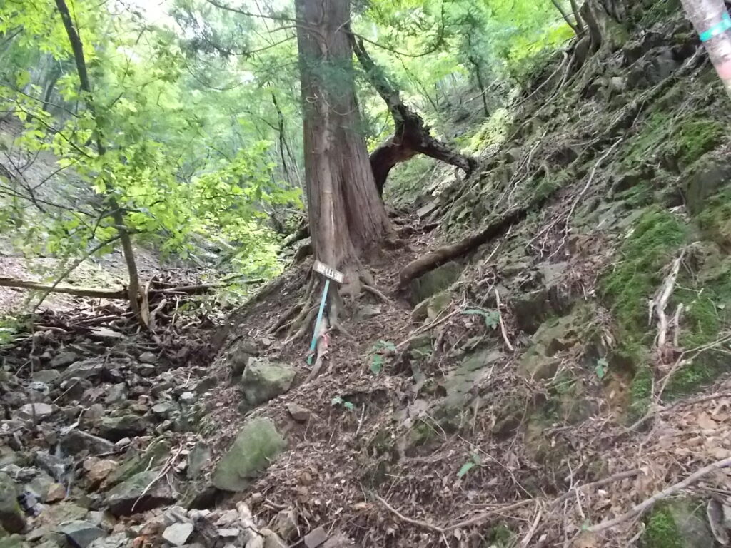 10：44　小さな沢に出ます。この辺で道がわかりにくくなります。うろうろしているうちに沢を渡った所に案内板がありました。ここにヒルがいるので要注意です。