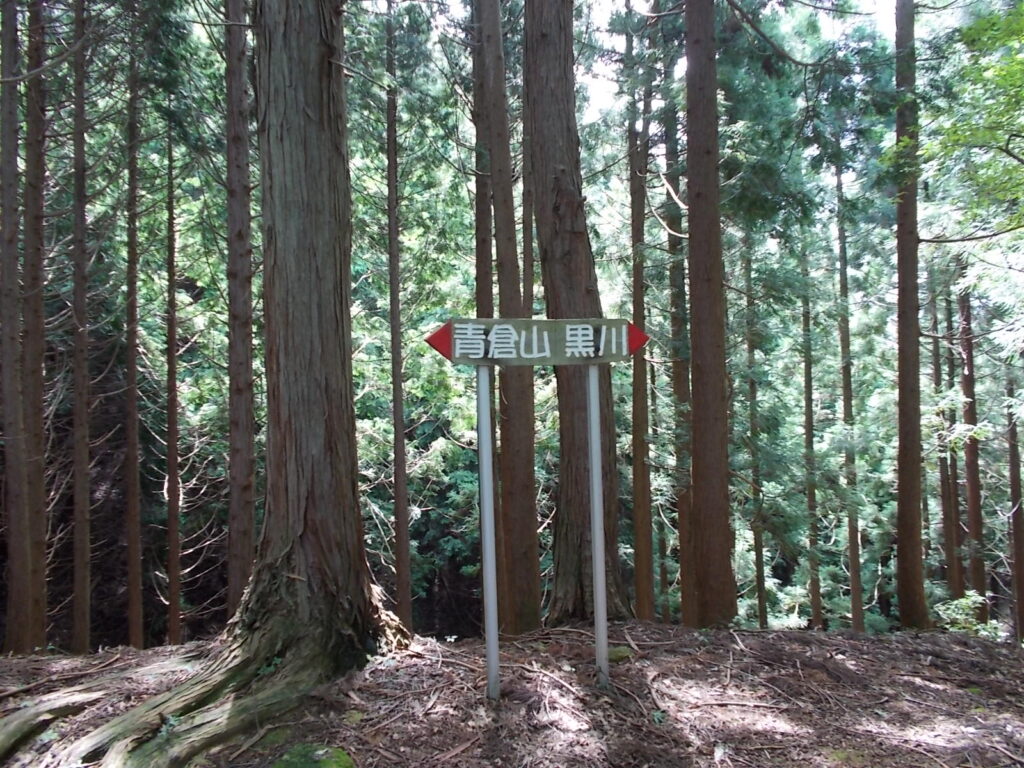 10：54　黒川への峠の分岐に出ます。ここを左へ進みますが、強烈な登りが待っています。