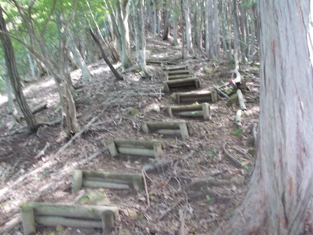 10：56　途中から階段に変わります。土が流れてしまっているので、非常に歩きにくいです。
