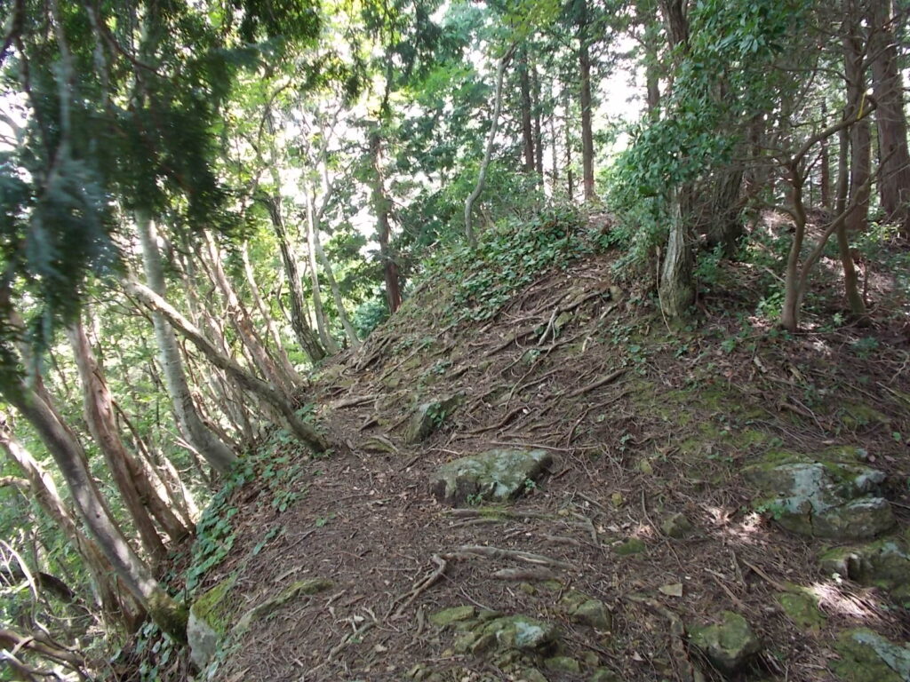 11：03　登り切ると、ピークに出ます。このピークは登らずに、左へ回り今度は下ります。