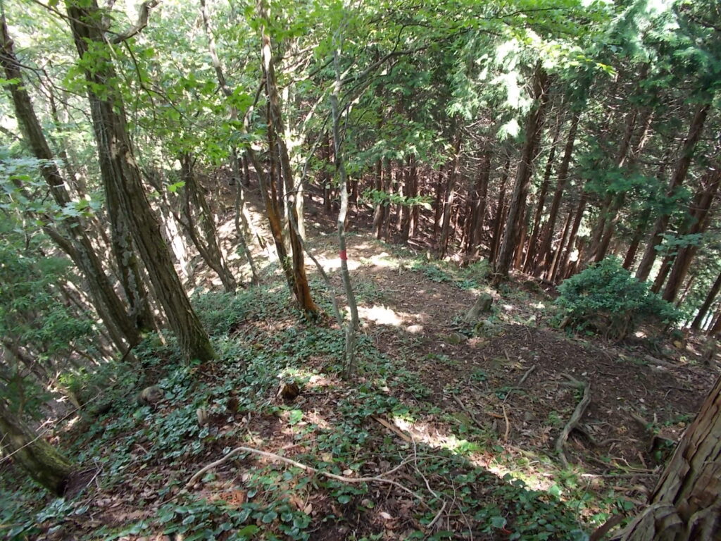 11：09　道がわからず、うろうろしたので時間がかかってしまいました。ここを下ります。けっこう急です。