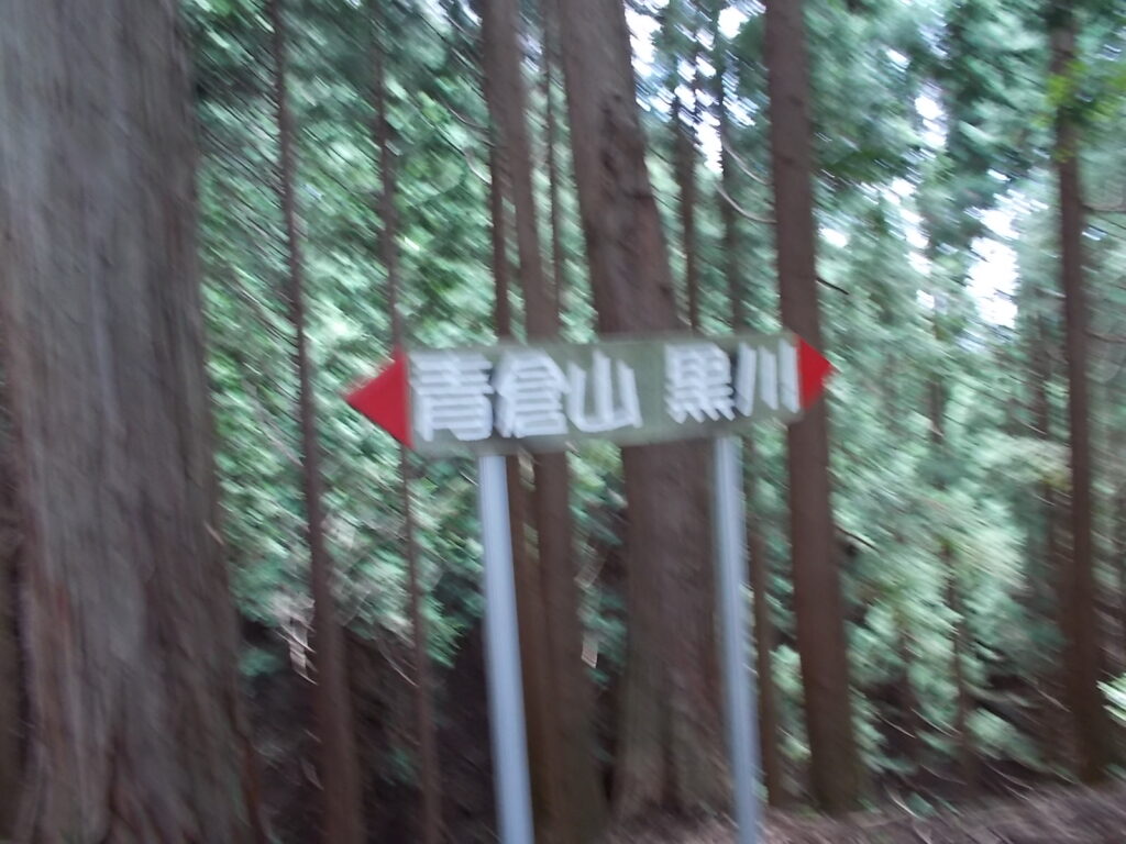  	11：54  峠の分岐  ここからまた沢を渡りますが、再びヒルがくっついてきました。