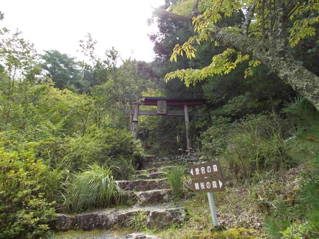 10：15　愛宕神社への鳥居です。ここをくぐっても行けますが、見晴らしの良い遊歩道を行きます。