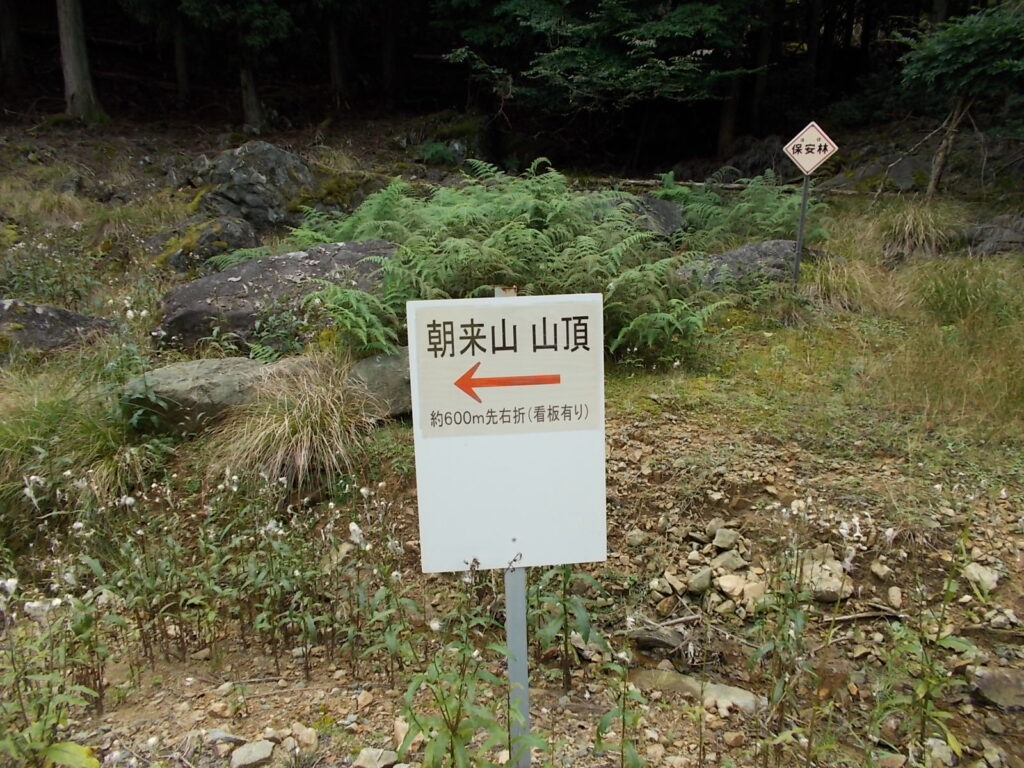 10：37　道をさらに進んだ先の三叉路。右へ行けば周回ルートになりますが、今回は左のむささびコースへ。