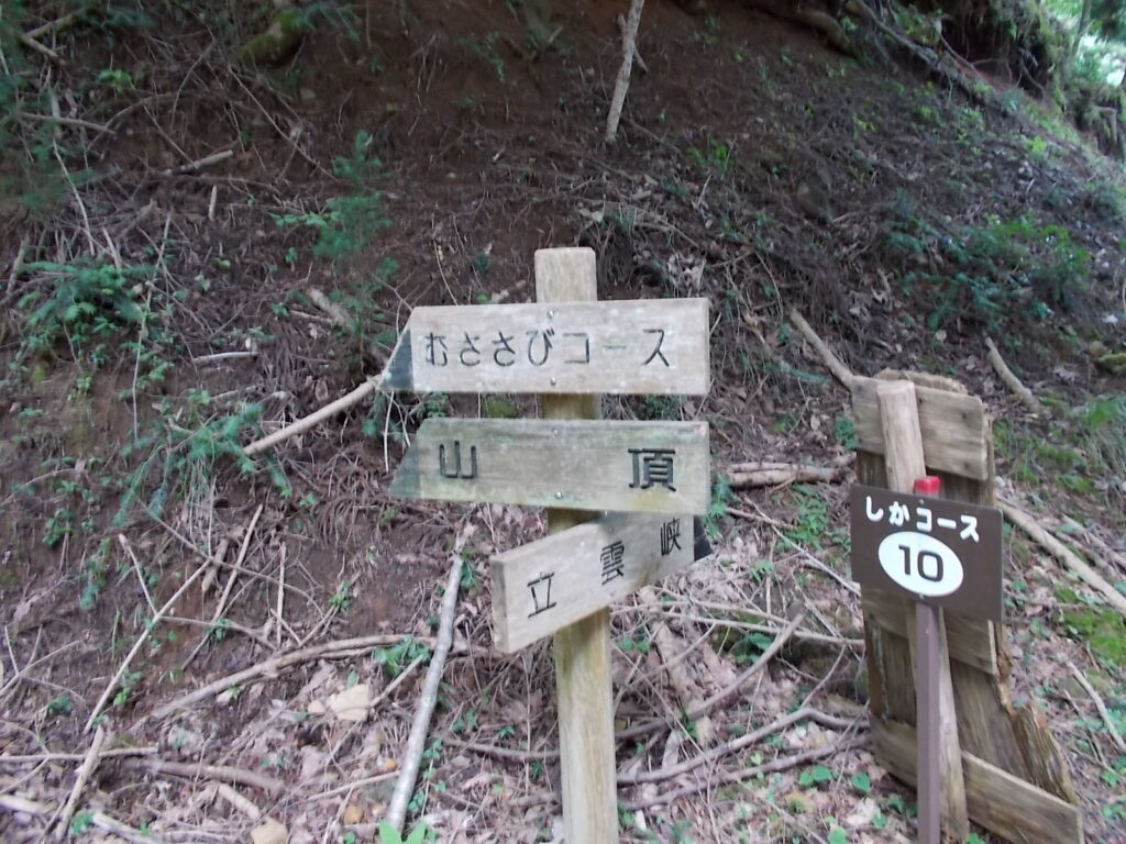 10：44　むささびコースの案内板です。