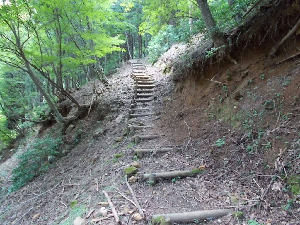 10：44　こんな階段を上っていきます。