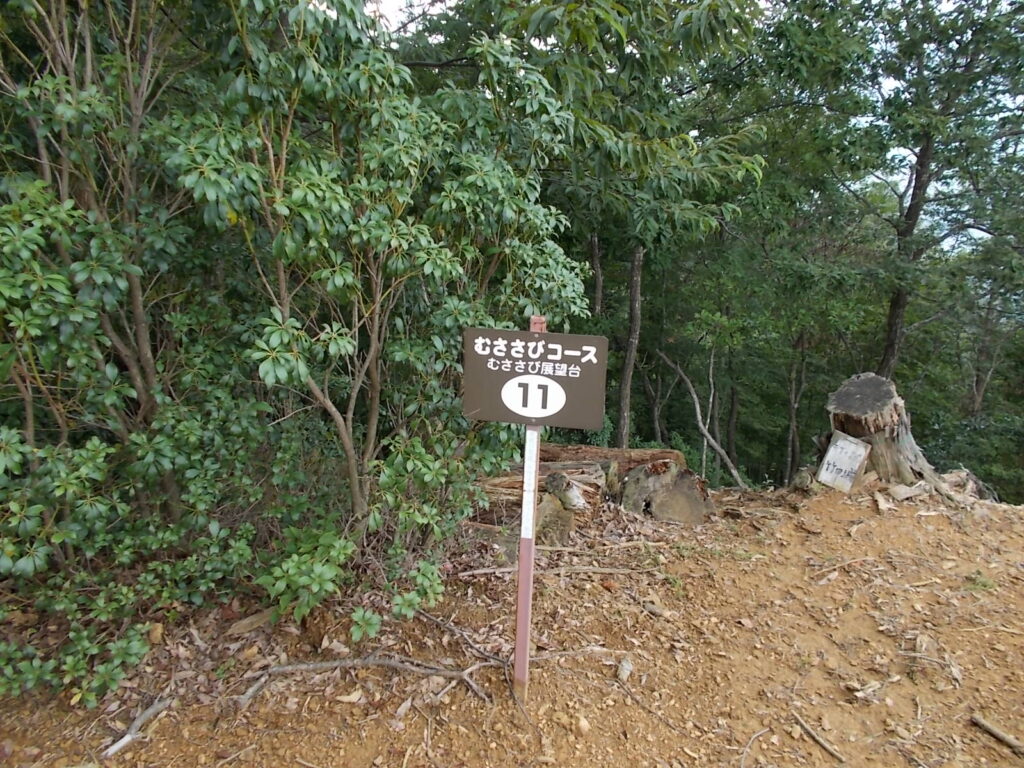 11：06　むささび展望台です。