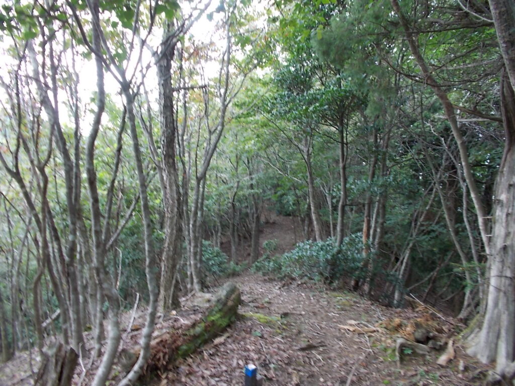 11：11　こんな感じの空中回廊を歩いて行きます。見晴らしは悪いですが、なかなか感じはいいです。