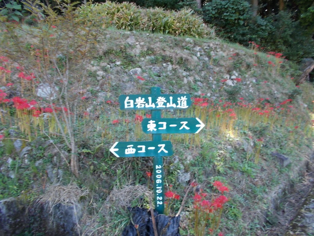 9:23東コースと西コースの分岐。ここから東コースへ歩き始めます。