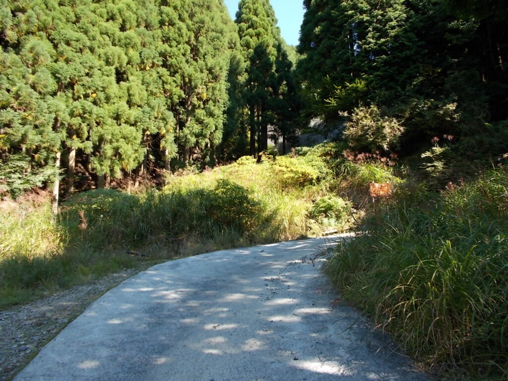 9:47 コンクリートで固められた林道。