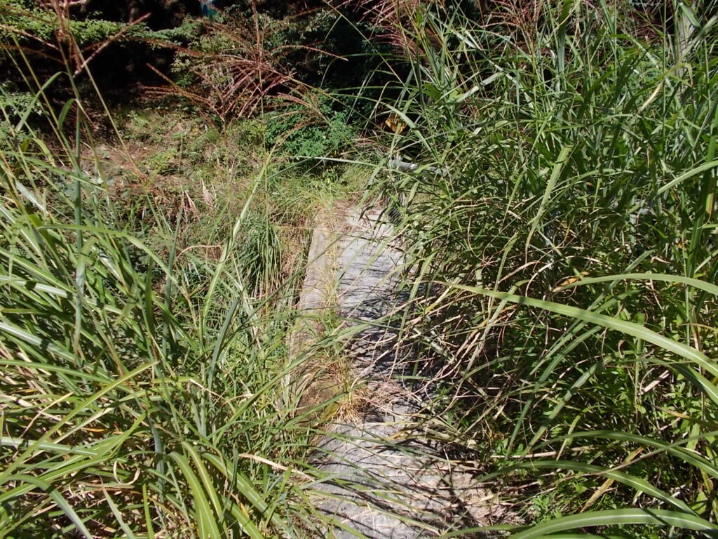 9:47 案内板の後ろにある橋。これを渡ります。