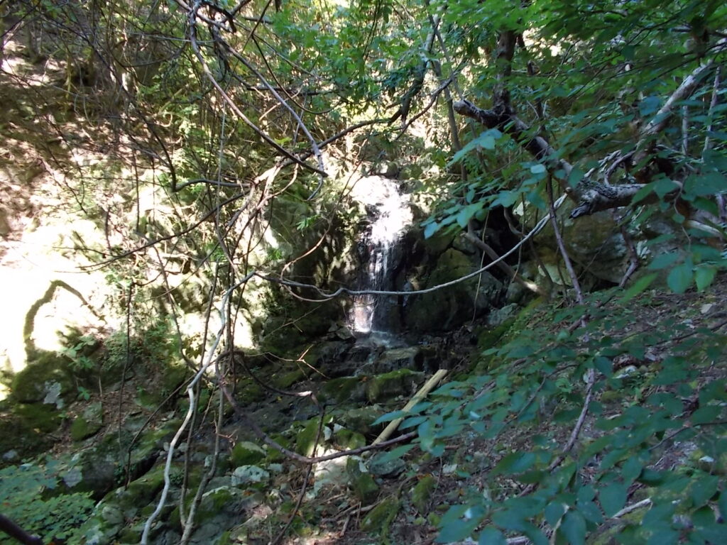 9:49 小さな滝に出ました。