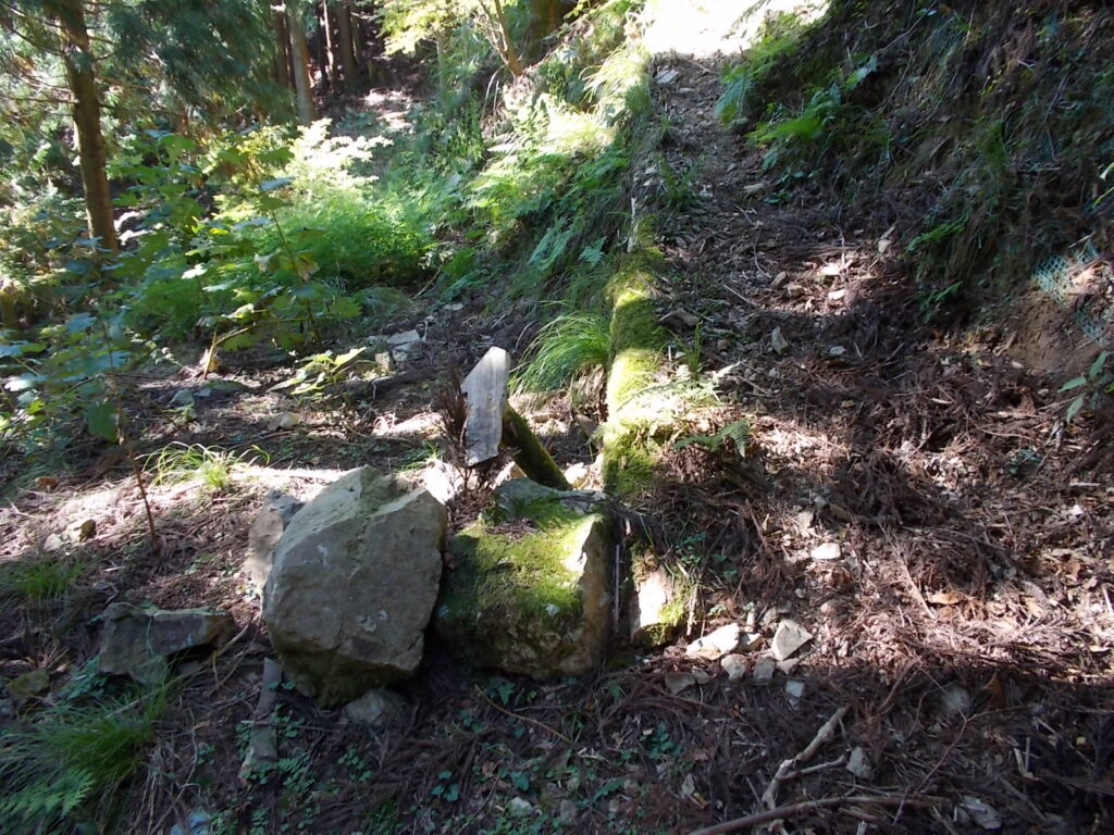 9:57 ようやく登山道らしくなりました。